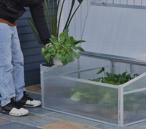 Las mejores plástico transparente invernaderos invernaderos de policarbonato en aki