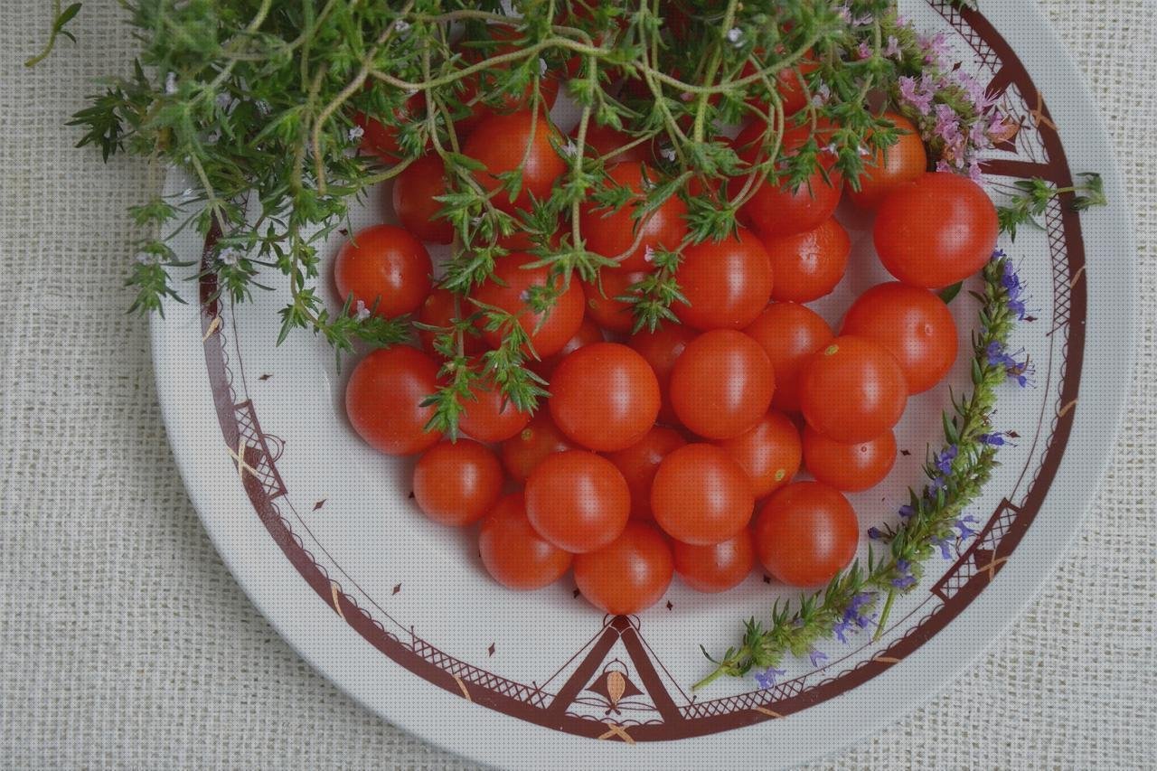 Review de invernaderos pequeños policarbonato