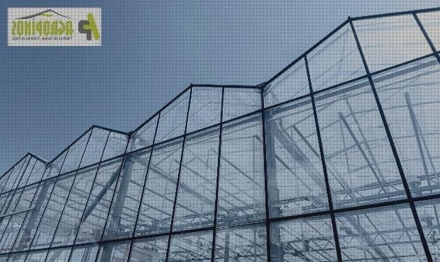 Las mejores marcas de plástico transparente invernaderos invernaderos rigidos de policarbonato