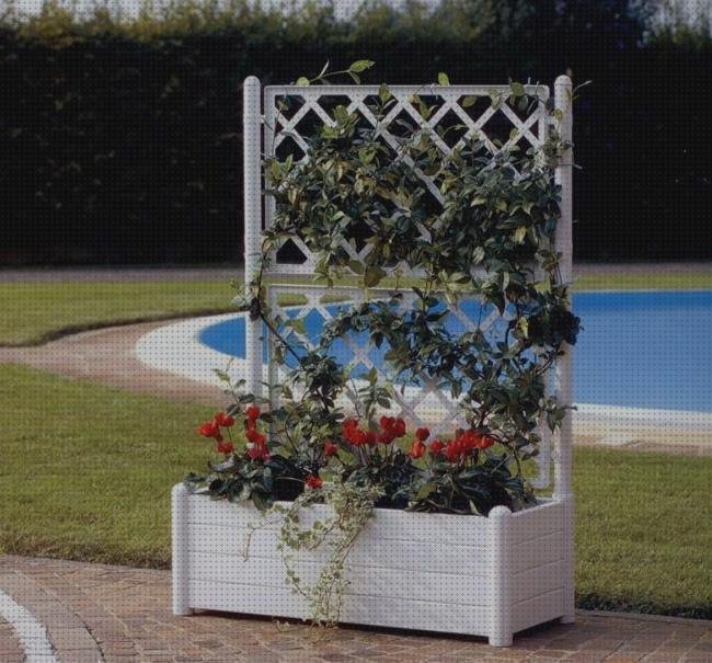 Análisis de los 2 mejores Jardineras Con Celosia De Plásticos