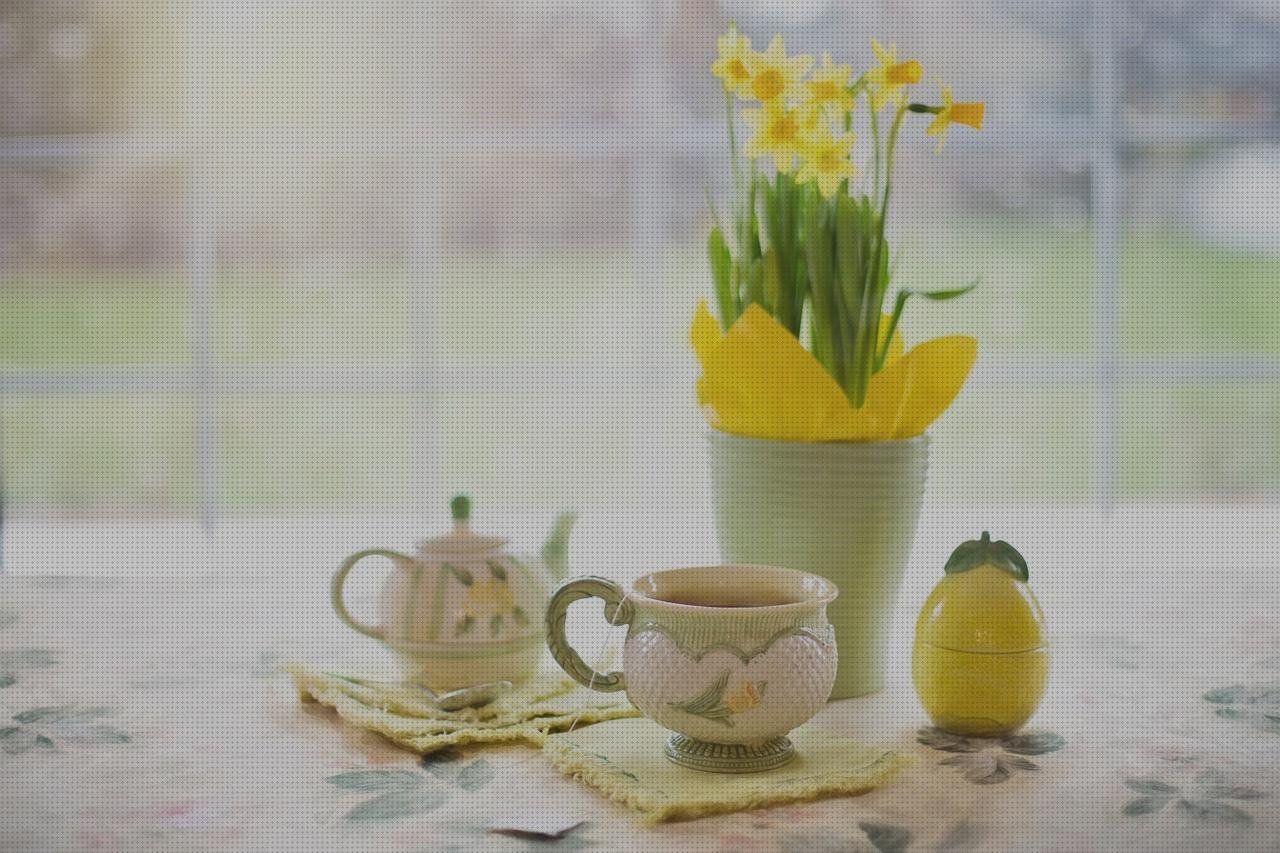 Los mejores 10 Jardineras De Plastico Baratas