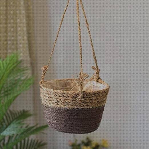 ¿Dónde poder comprar plasticos jardineras interior plasticos?