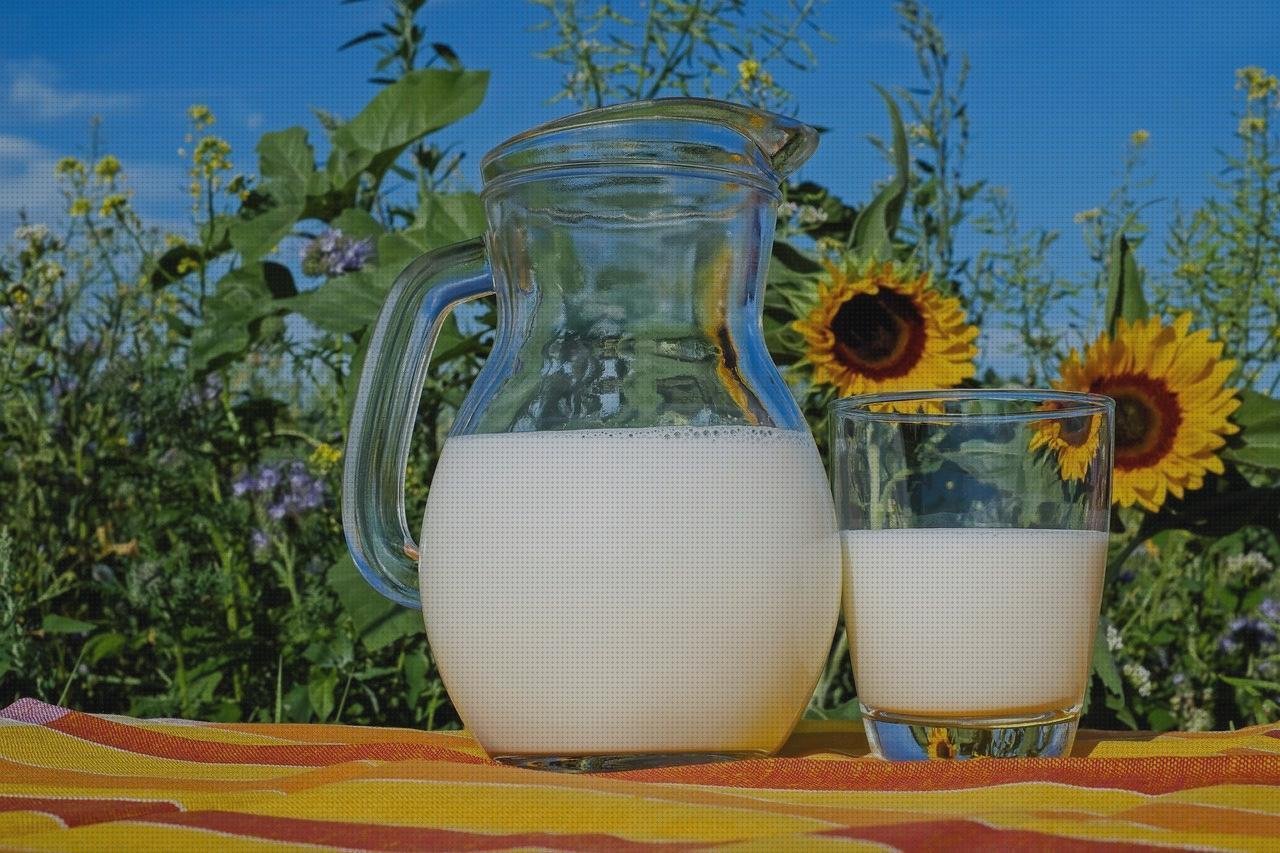 Review de las 16 mejores jarras policarbonatos pitcher