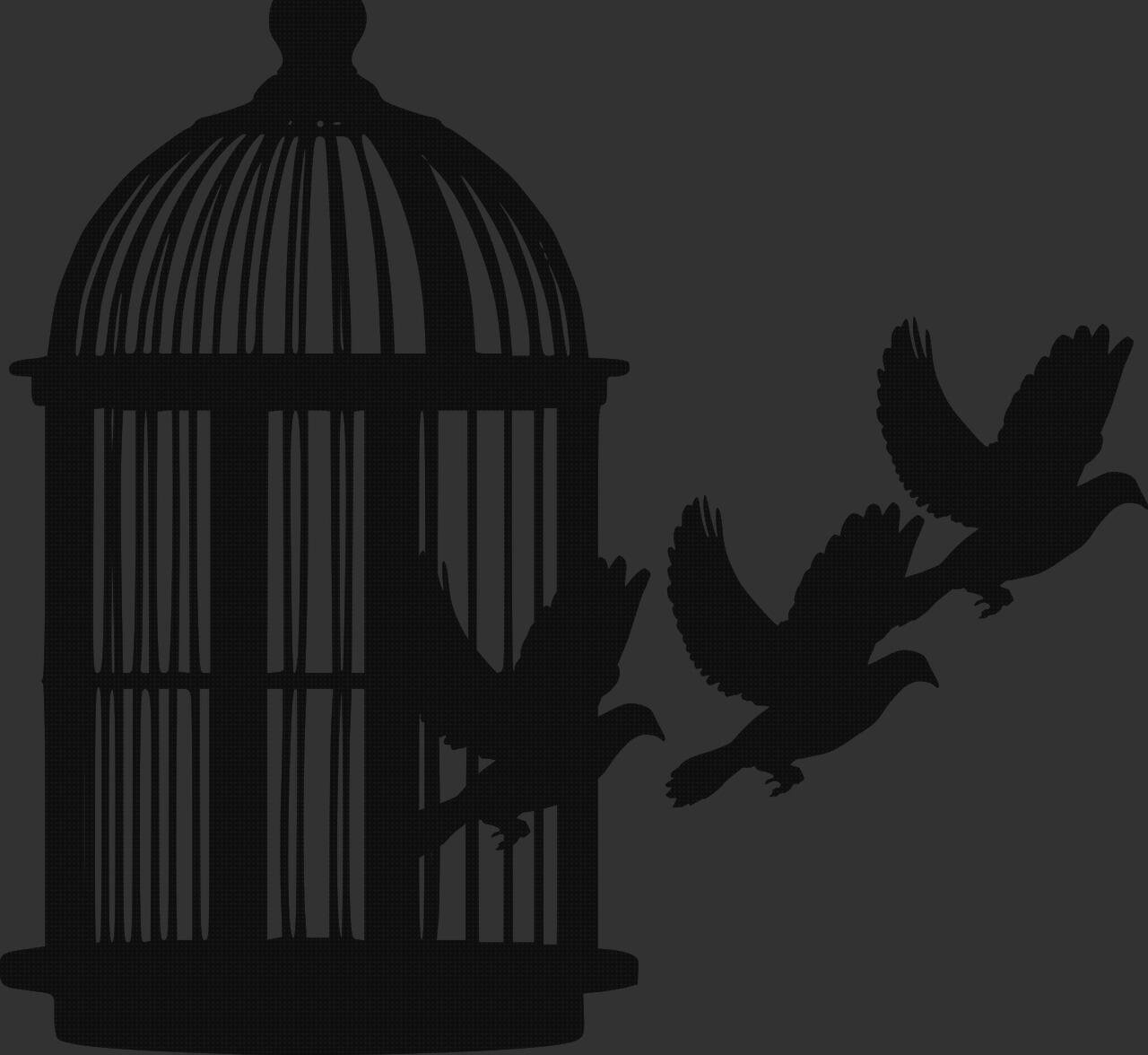 ¿Dónde poder comprar playas con plastico playa de plastico caja plástico chocolatinas jaula grillos plastico?