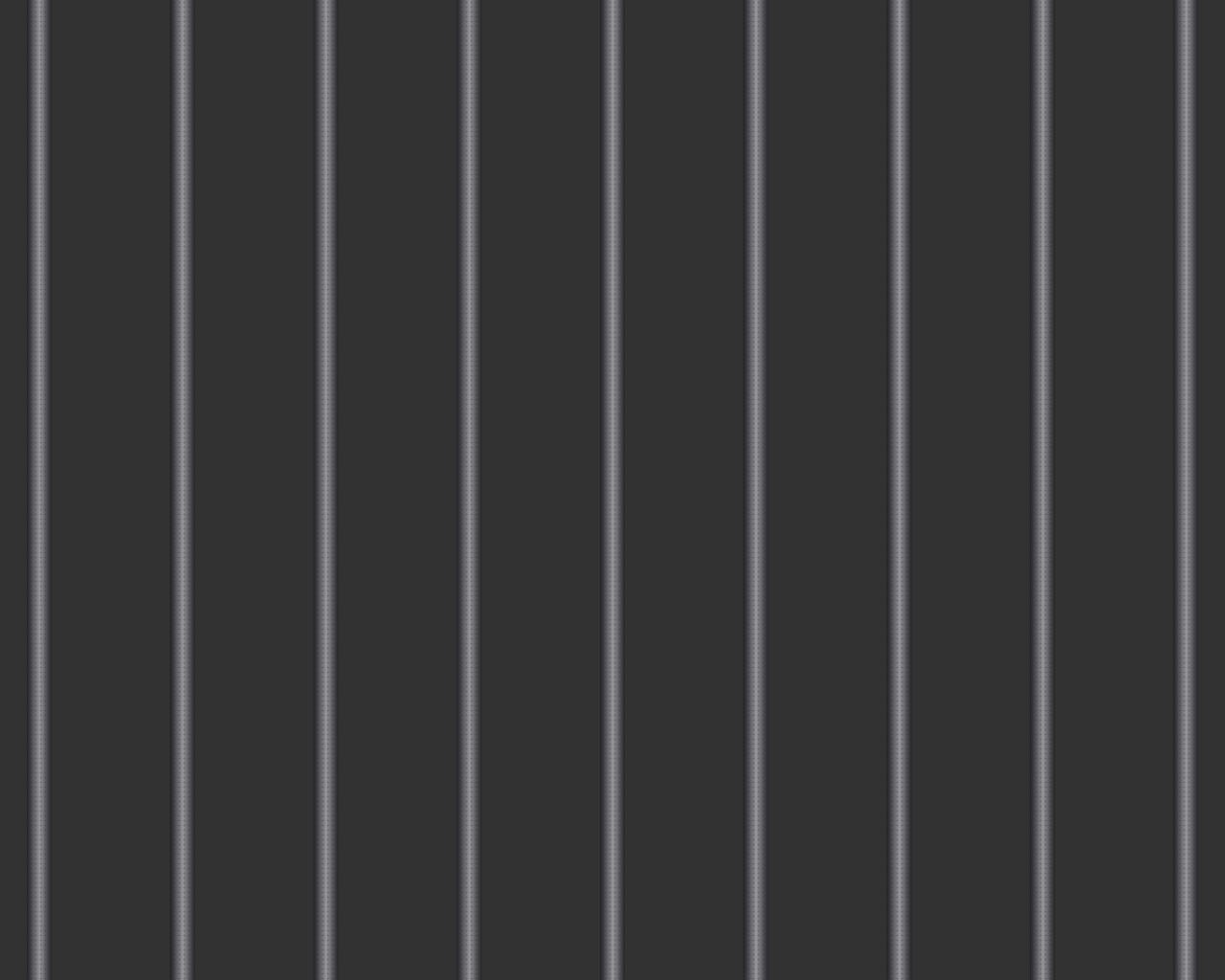 Review de jaula grillos plastico