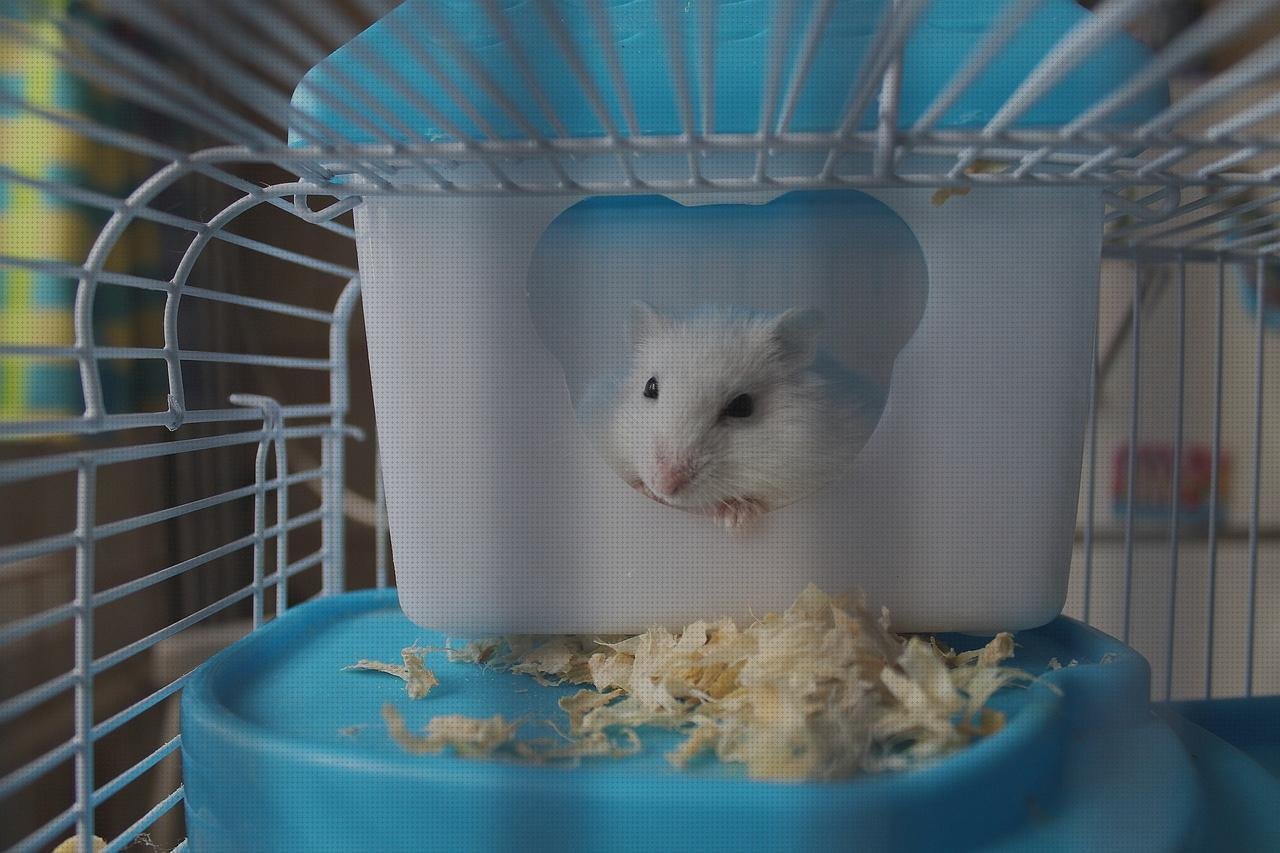 Opiniones de las 4 mejores Jaula Hamster Metacrilato
