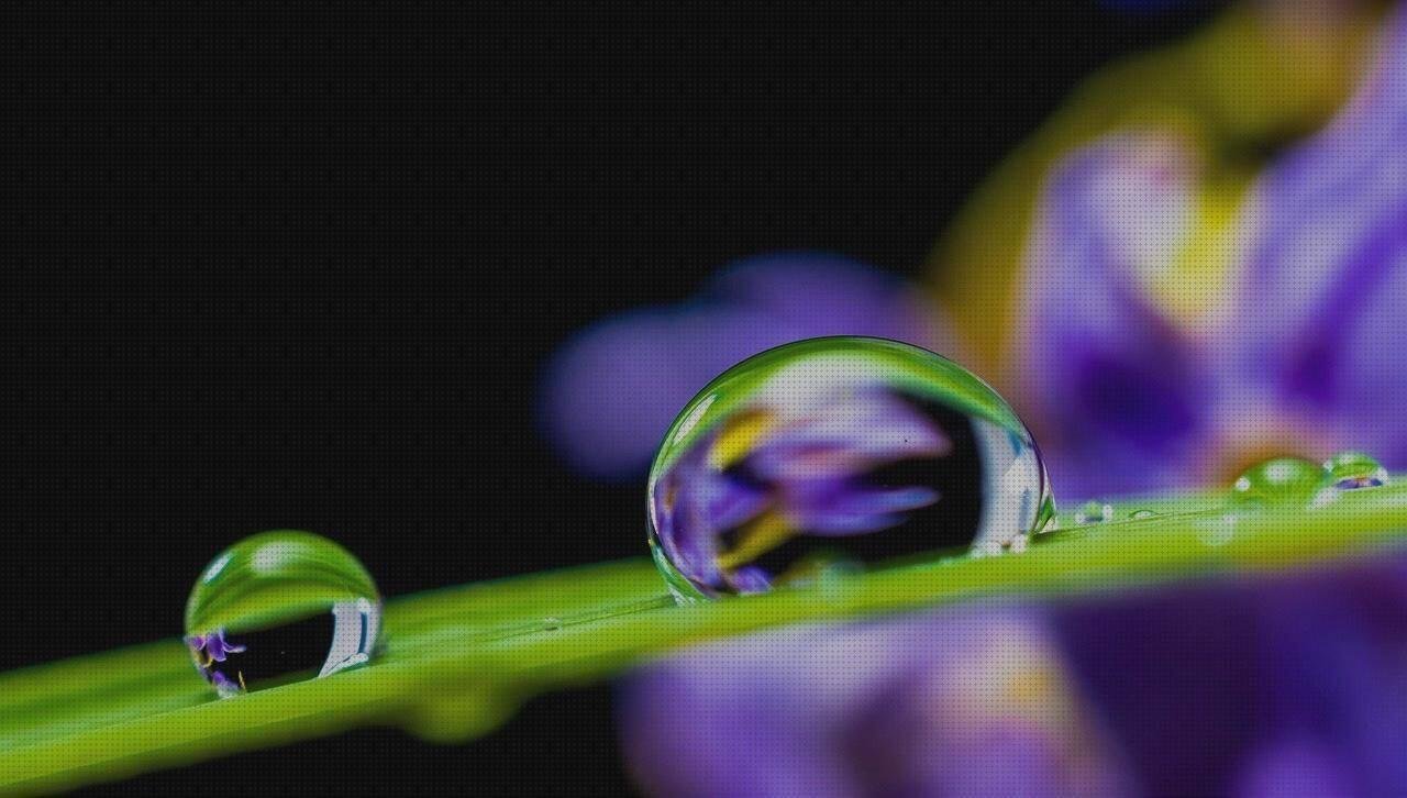 Las mejores marcas de hule plástico 0 5mm bastidor de silicona negro bastidores de plastico lamina policarbonato 5mm