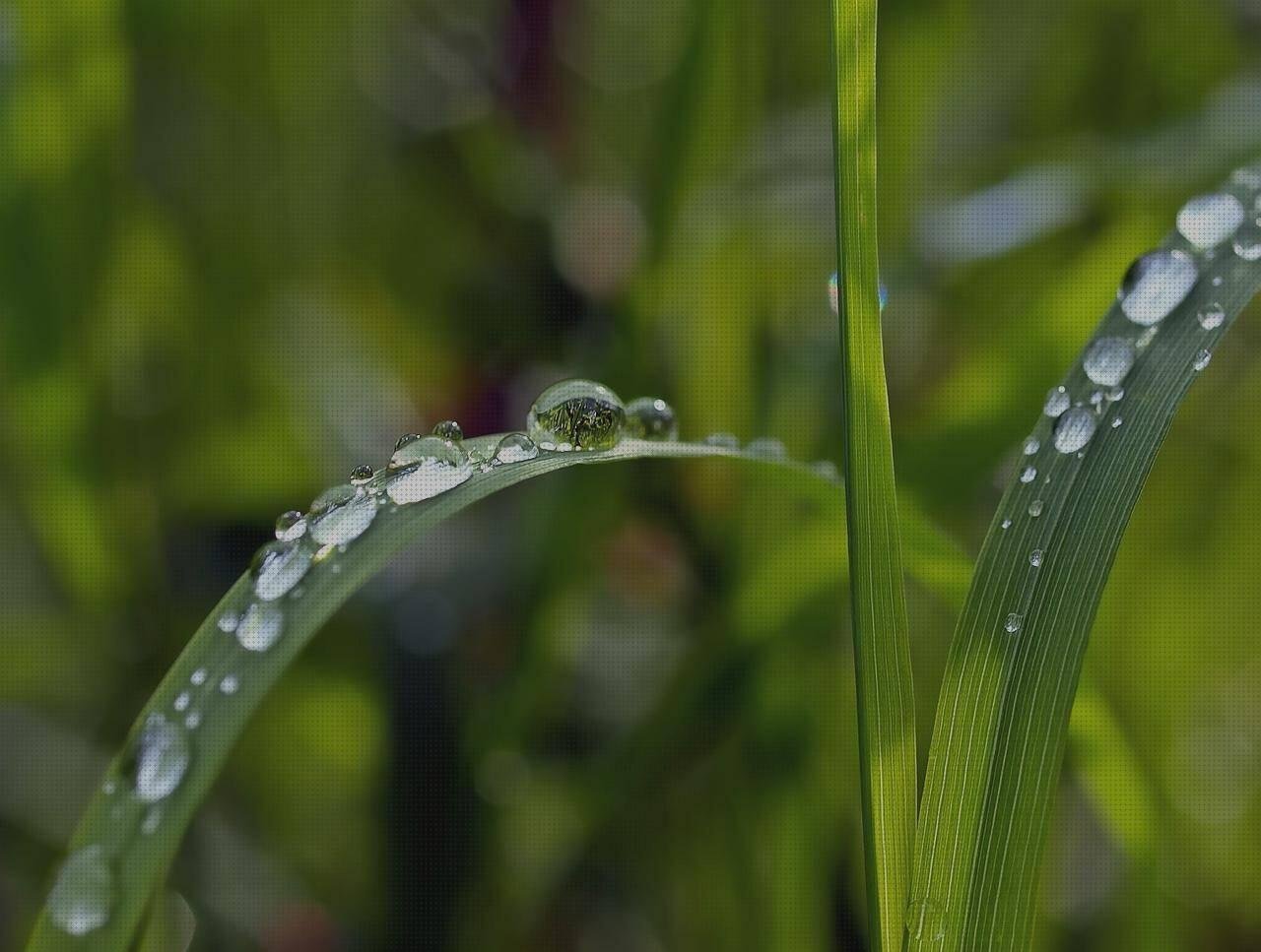 Las mejores hule plástico 0 5mm bastidor de silicona negro bastidores de plastico lamina policarbonato 5mm