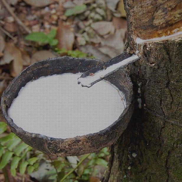 ¿Dónde poder comprar gomas látex natural?
