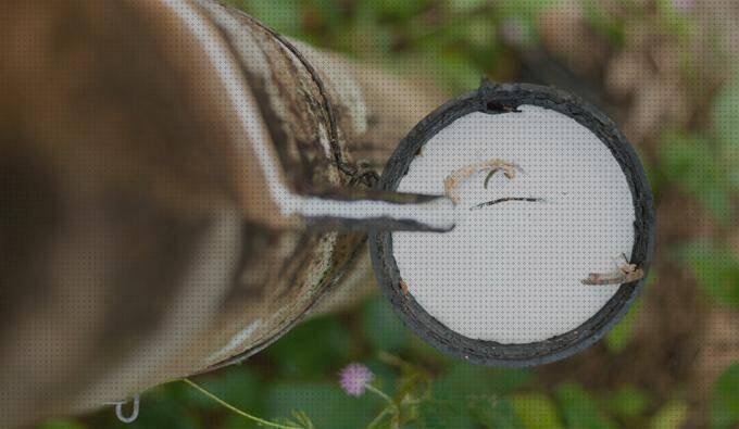 Las mejores marcas de gomas látex natural