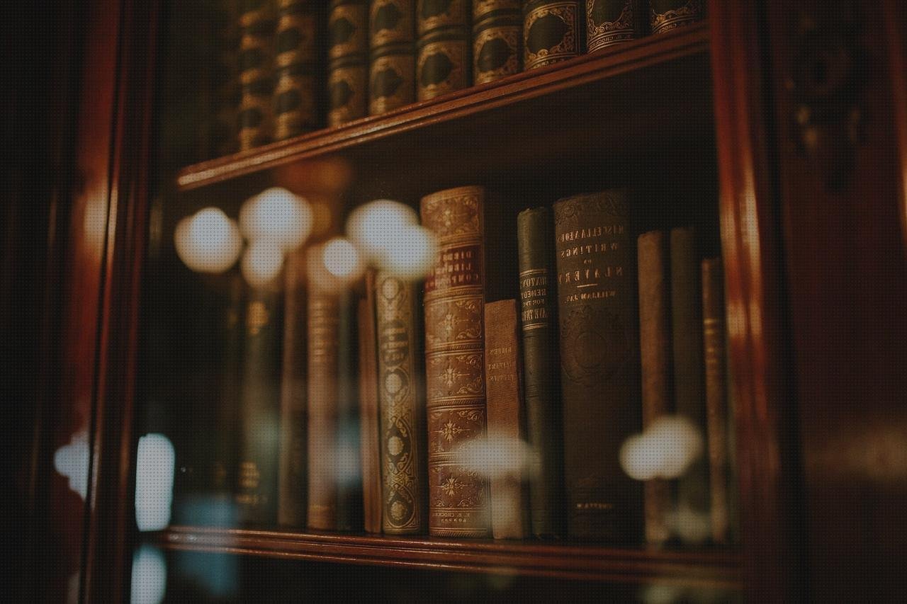 Las mejores marcas de vision ojo con aceite de silicona vision con aceite de silicona vajilla melamina camper libreros de melamina