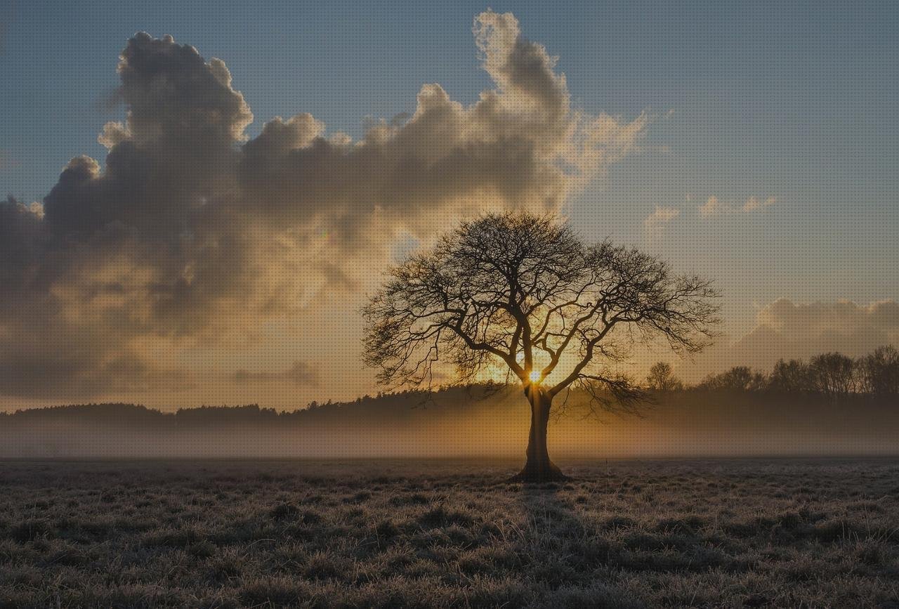 ¿Dónde poder comprar tela plástico bol de silicona mini mat capacidad mini mesa de plástico lona de plástico azul?