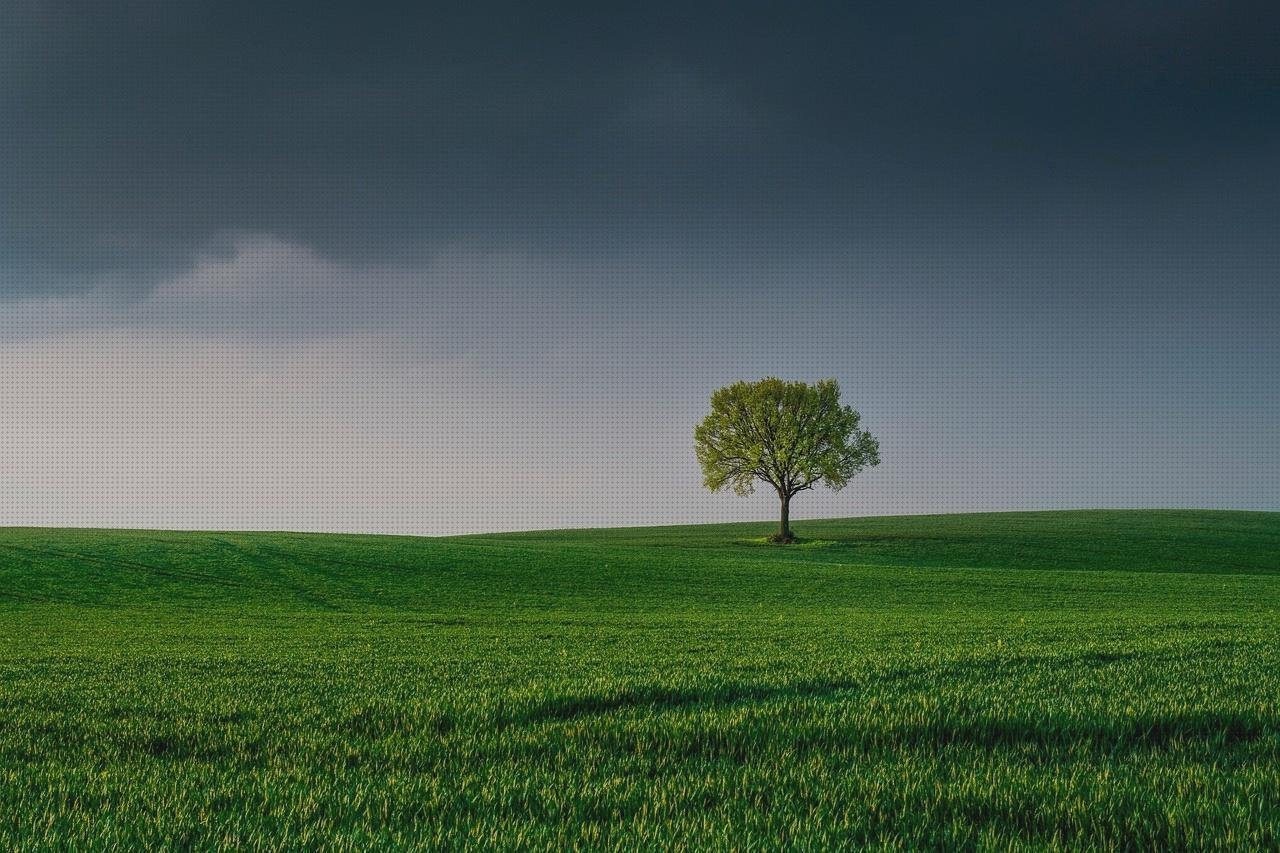 Las mejores marcas de lona plástico fachadas ventiladas de policarbonato fachada policarbonato lona de plastico suelo