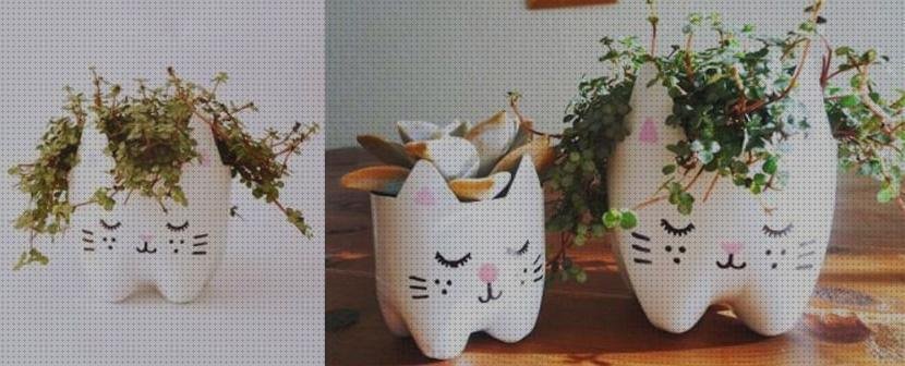 Las mejores maceta plástico maceta de gato con botella de plástico