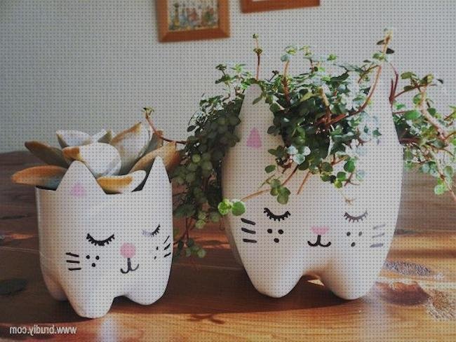 Los 20 Mejores Macetas De Gatos Con Botellas De Plásticos