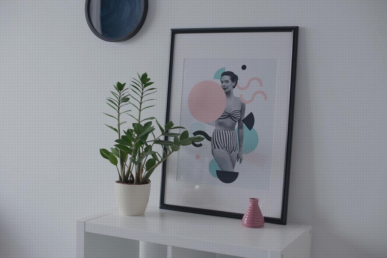 Las mejores marcas de macetas plasticas maceta pared de plastico