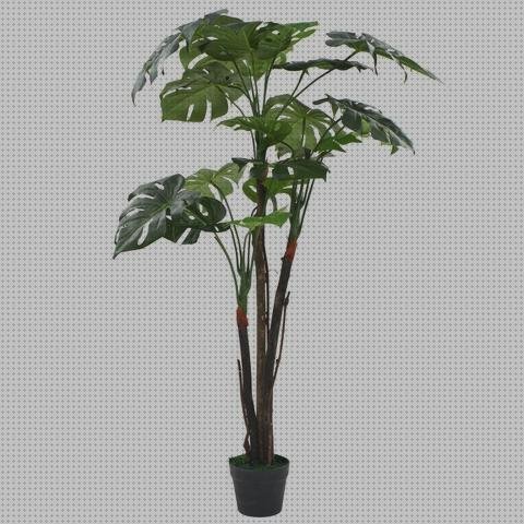 ¿Dónde poder comprar maceta plástico macetas con flores de plástico?