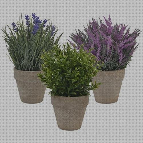Las mejores marcas de maceta plástico macetas con flores de plástico