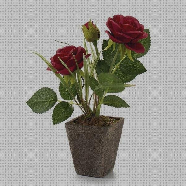 Las mejores maceta plástico macetas con flores de plástico