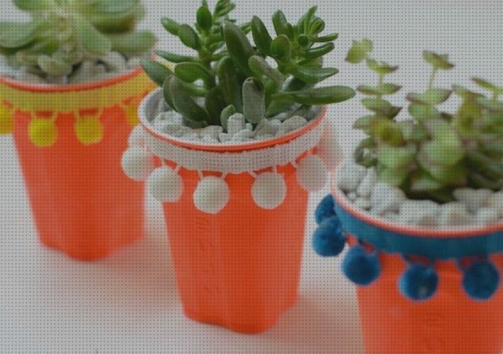 Las 8 Mejores Macetas Con Vasos De Plásticos