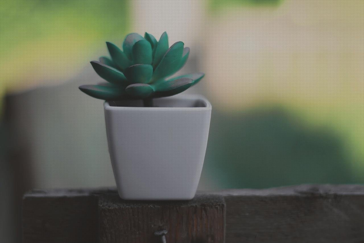 Las mejores marcas de macetas plasticas macetas de plástico baratas