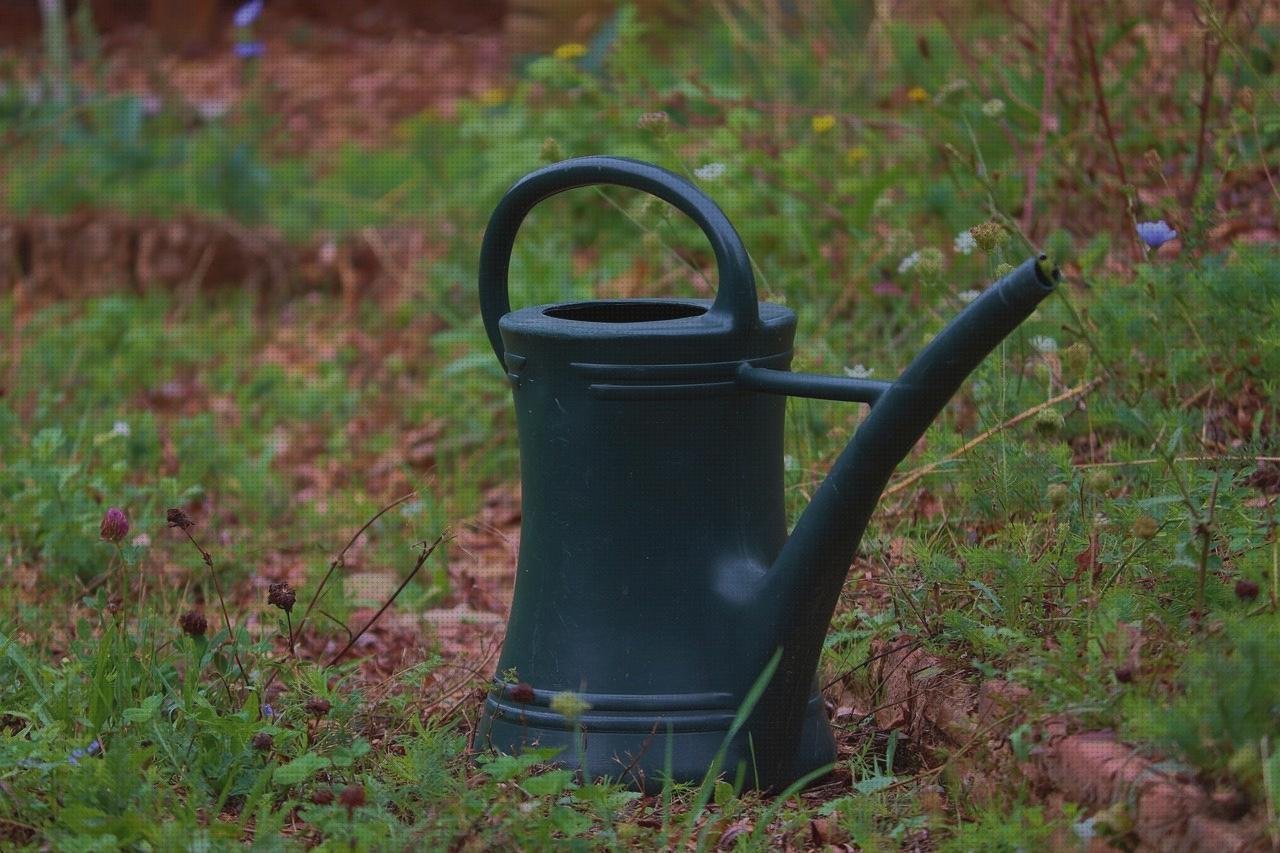 Las mejores macetas plasticas macetas de plástico baratas