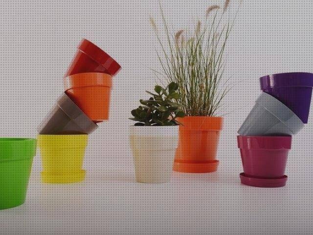 ¿Dónde poder comprar macetas macetas de plastico trasparentes?