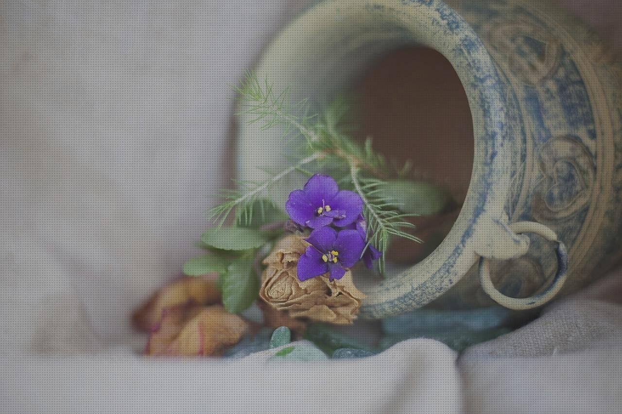 Análisis de las 8 mejores Macetas Grandes De Plásticos