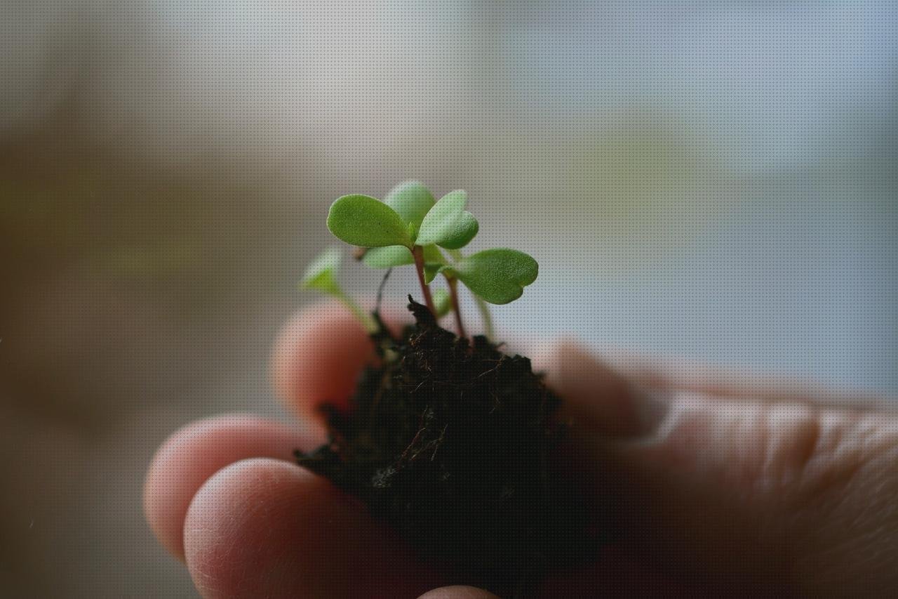 Las mejores marcas de capazos plástico grandes macetas jardineras de plástico grandes