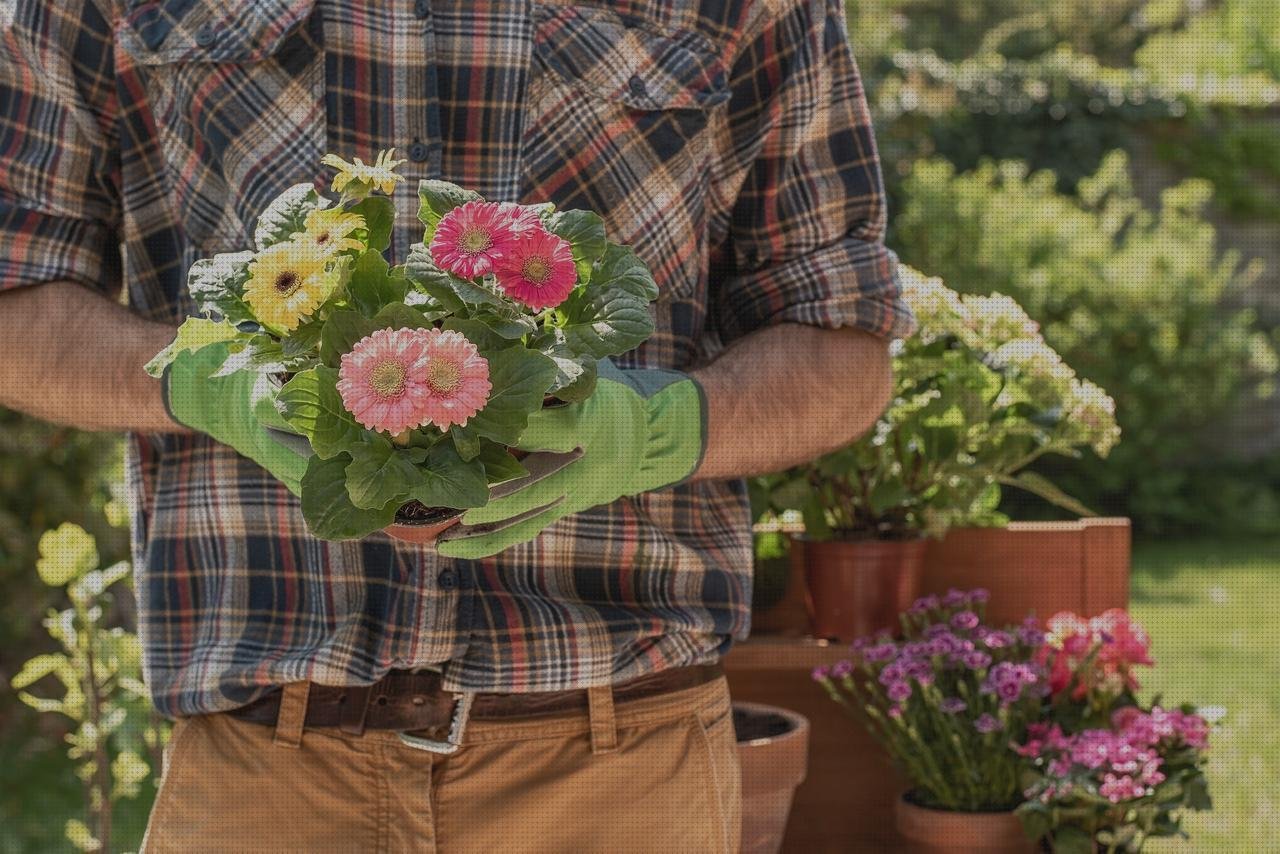 Análisis de las 14 mejores Macetas Jardineras De Plásticos Grandes