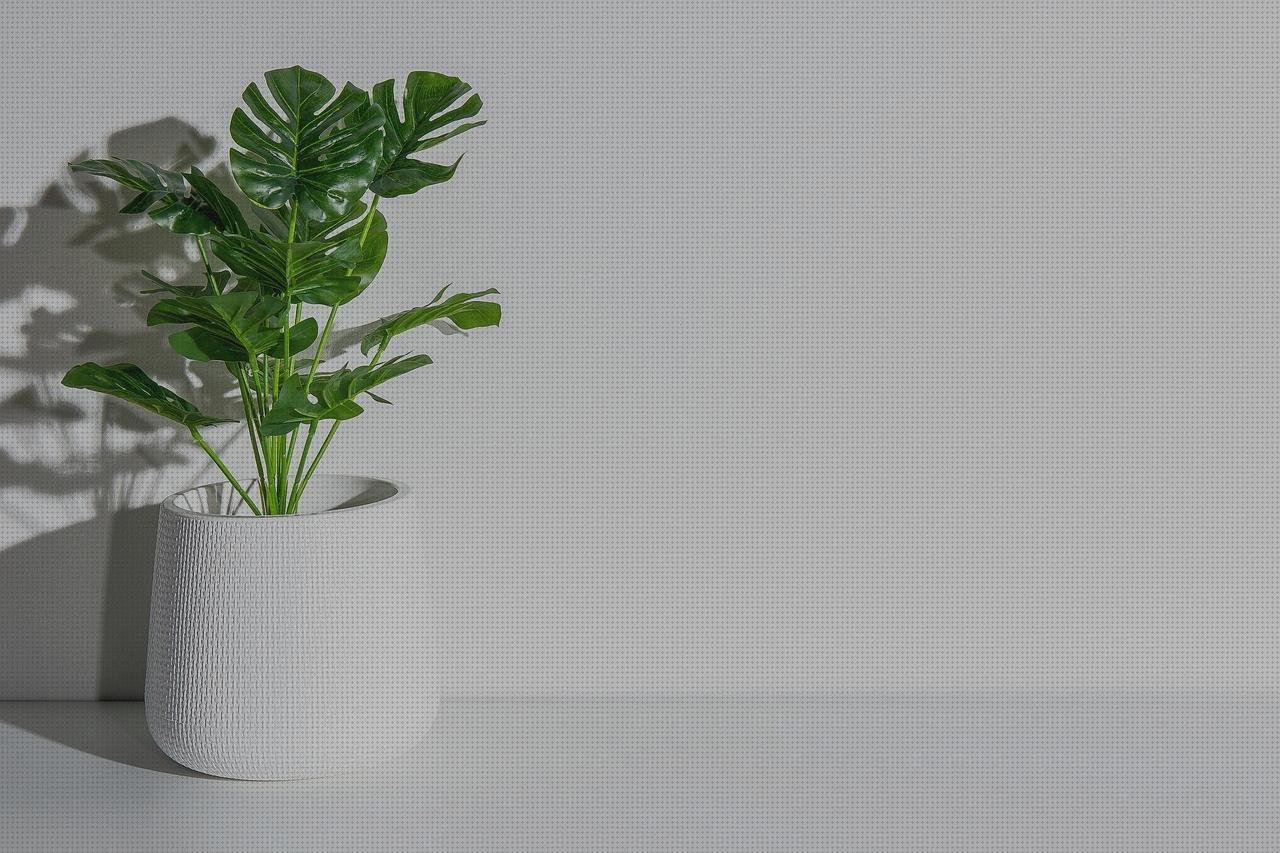 ¿Dónde poder comprar thyssenkrupp plasticos plexiglas maceteros de plasticos?