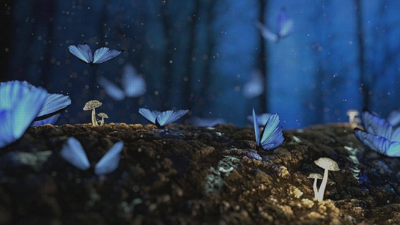 ¿Dónde poder comprar Más sobre pasta de silicona Más sobre caca plástico Más sobre grinder plástico mariposas de silicona?
