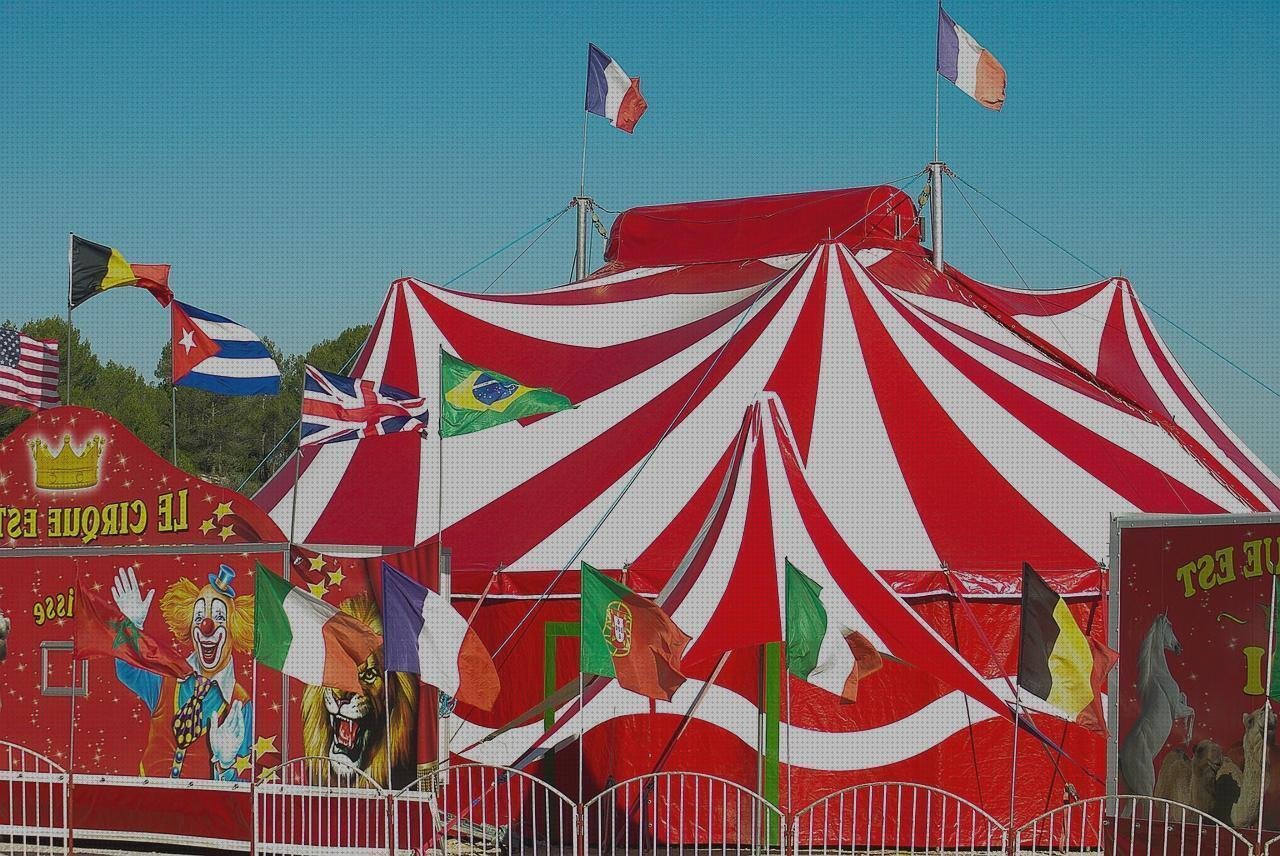 Las mejores marquesina de plástico silicona neutra ral 8011 blinkers pintura plastica ral 1013 marquesina policarbonato transparente