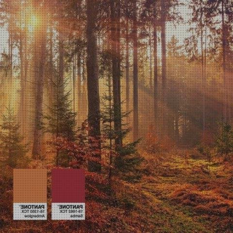 Los mejores 9 Melaminas Pantone
