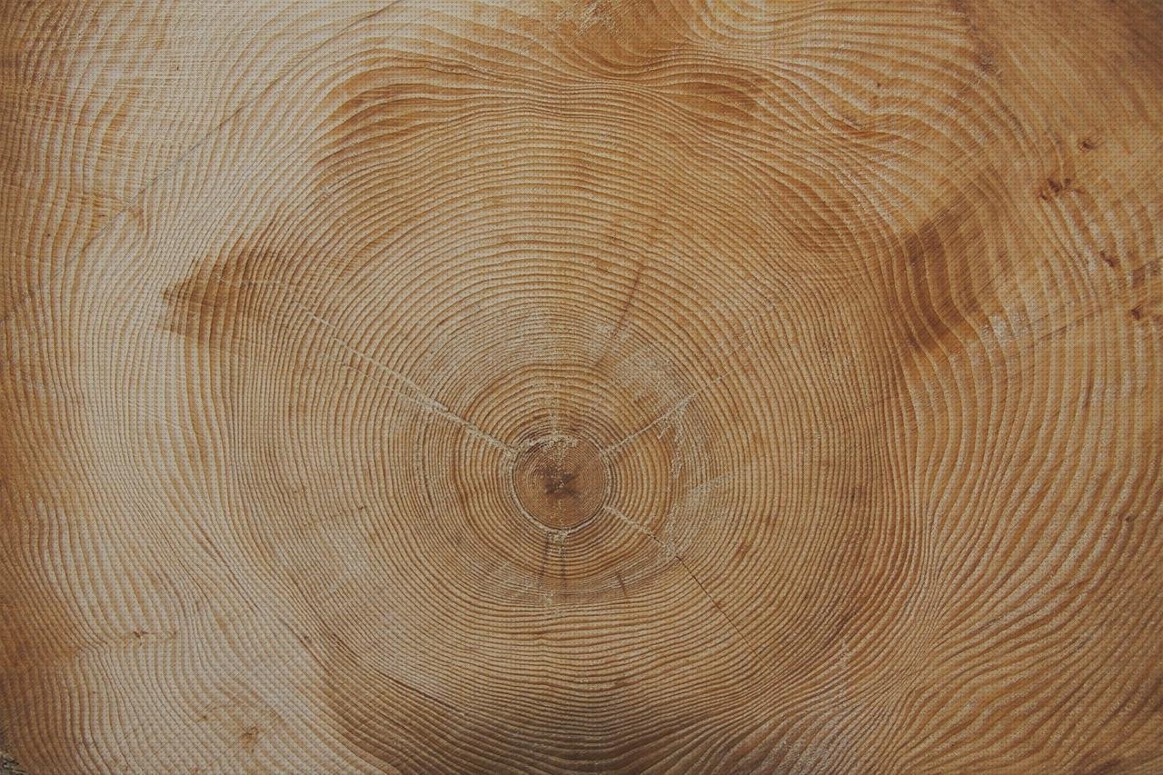 Los 10 Mejores Metacrilato Densidad