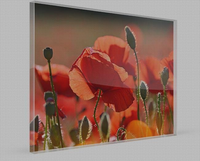 Opiniones de plexiglass metacrilato perchero metacrilato estructura metacrilato metacrilato plexiglass differenze