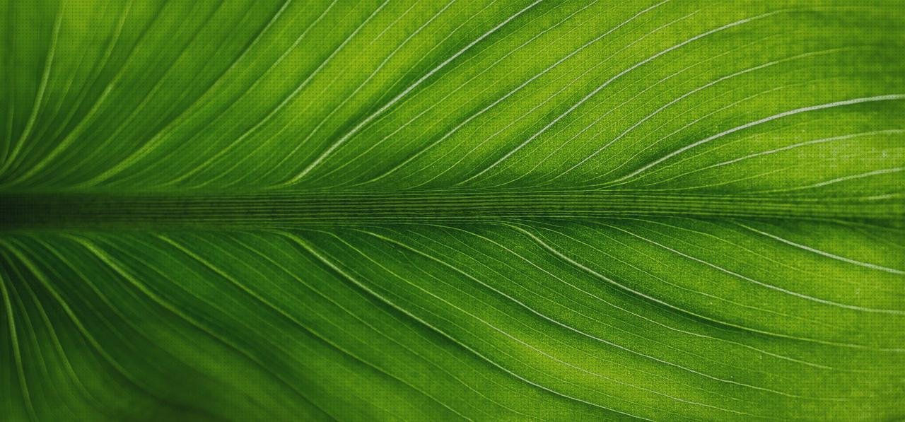 ¿Dónde poder comprar plastico metacrilato leroy merlin rótulo corporeo chapa y metacrilato corporeo metacrilato metacrilato translucido leroy merlin?