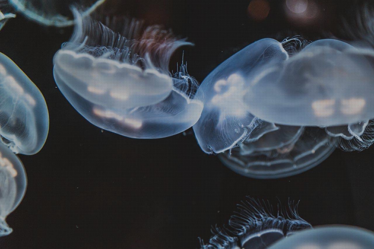 Las mejores plastico metacrilato leroy merlin rótulo corporeo chapa y metacrilato corporeo metacrilato metacrilato translucido leroy merlin