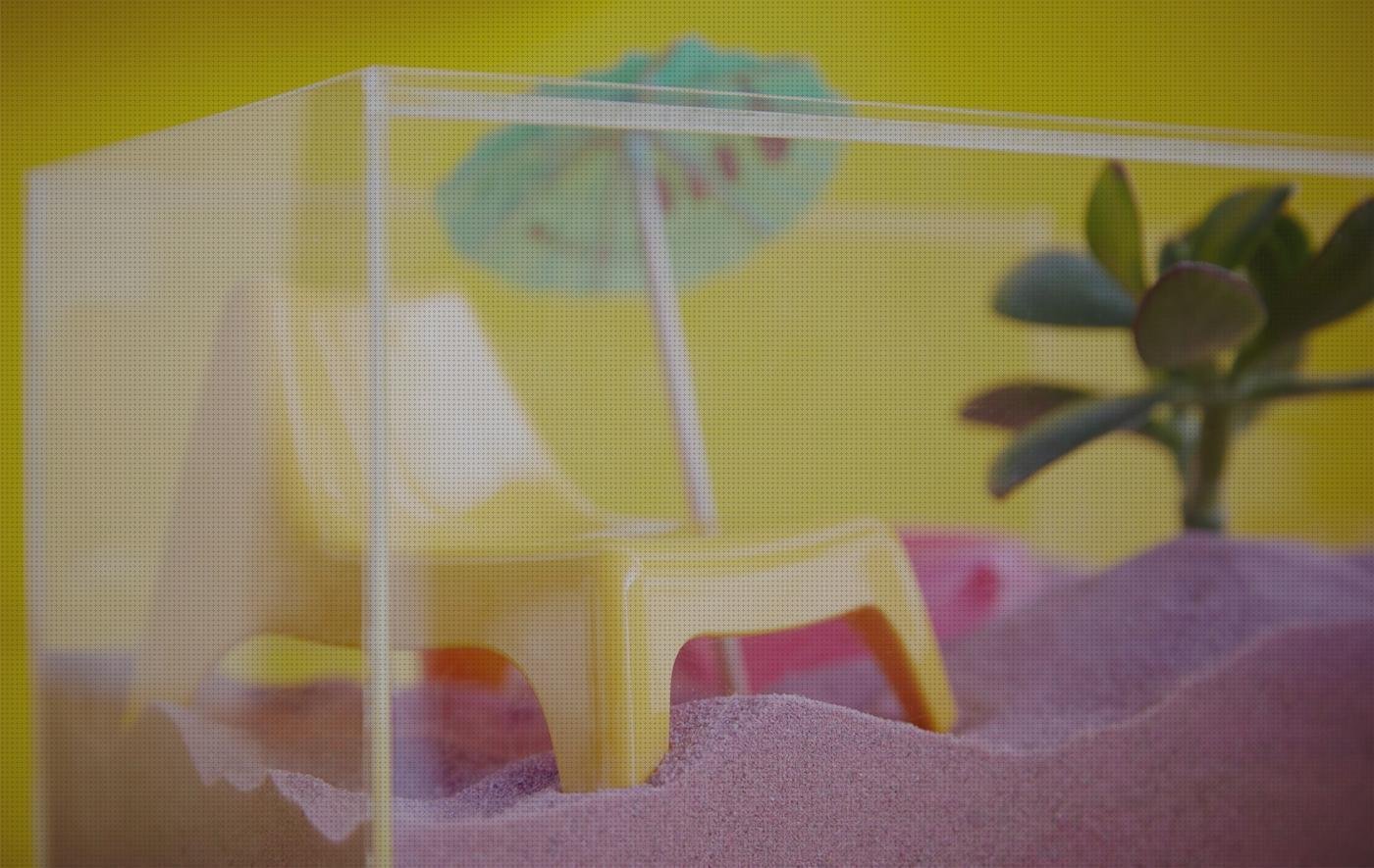 Las mejores ciervo de metacrilato bovedas metacrilato cubricion caja de metacrilato 15x15 minivitrina de metacrilato