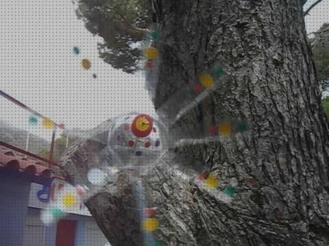 Las mejores marcas de molinillos molinillo de viento botella plastico