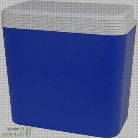 ¿Dónde poder comprar nevera plástico Más sobre funda s10 silicona Más sobre colmenas de plástico neveras de plástico?