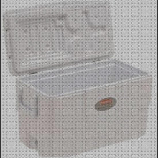 Review de neveras de plástico