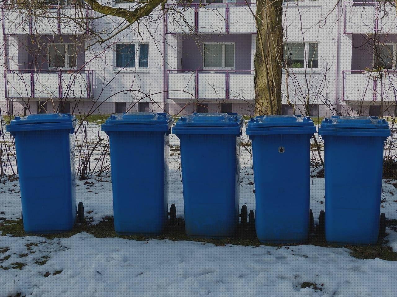 Review de nieve plastico