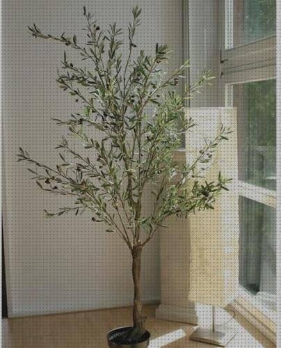 ¿Dónde poder comprar olivos de plastico?