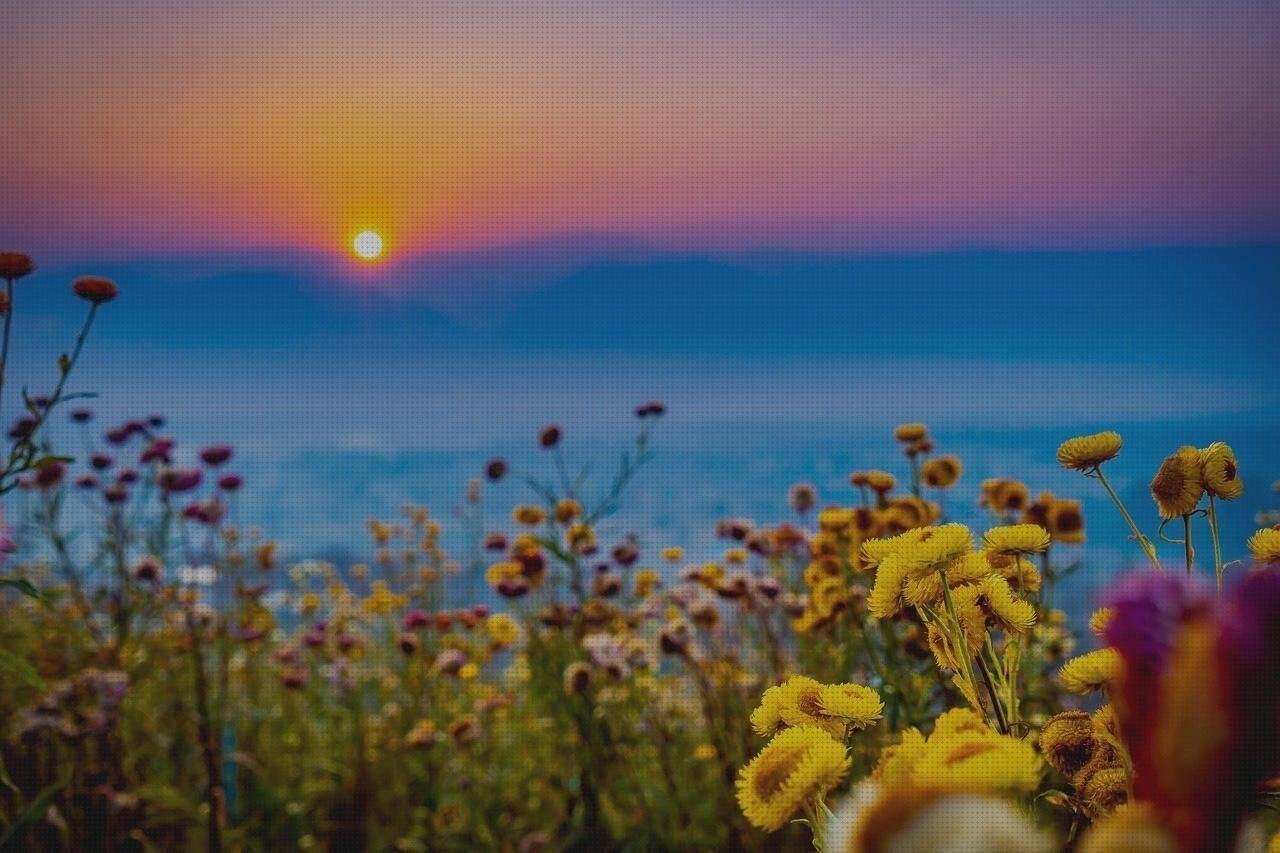 Las mejores marcas de sanitario de plastico playas con plastico playa de plastico pai pai plastico