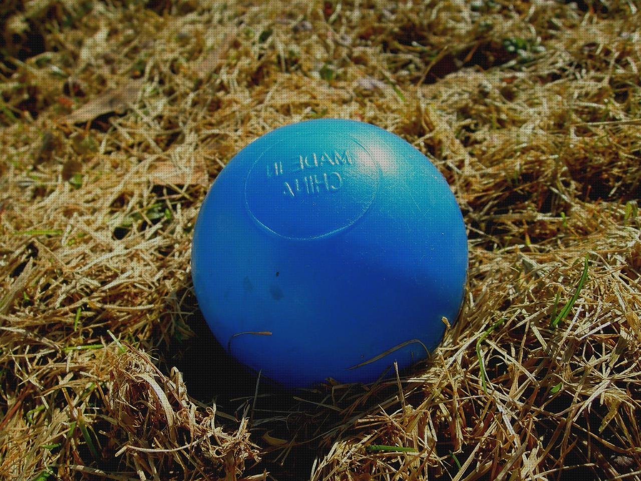 ¿Dónde poder comprar pais de plastico?