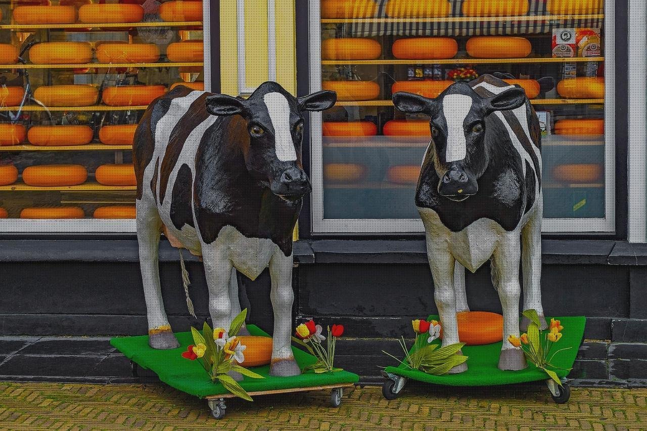 Las mejores marcas de pais de plastico