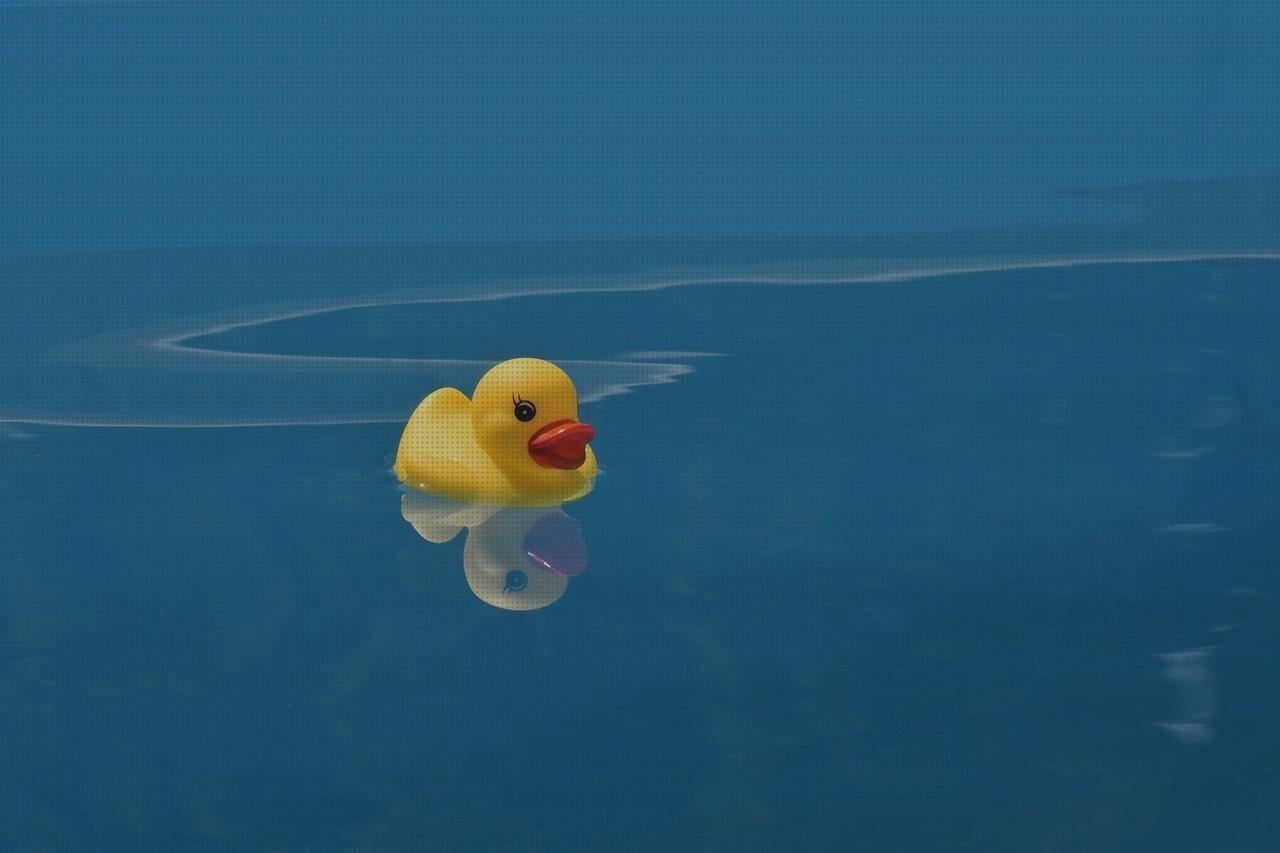 ¿Dónde poder comprar pajaros de plastico?