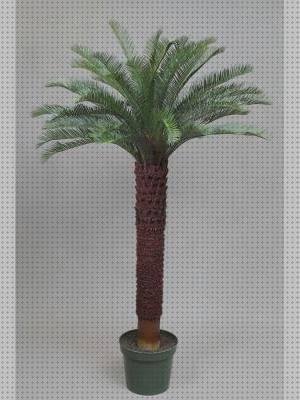 Análisis de los 8 mejores Palmeritas De Plásticos