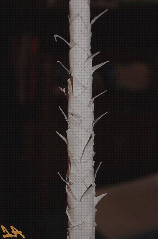 Las mejores palmeritas de plástico